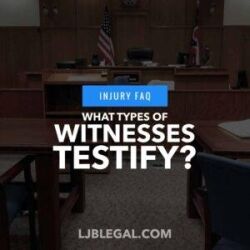 What Types of Witnesses Testify?